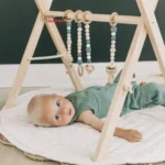 پلی جیم چوبی لئو play gym leo