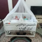 گهواره-دوقلو
