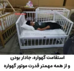 گهواره-دوقلو