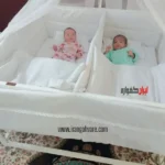 گهواره-دوقلو